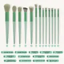 Tonefy soft Blending brush (set of 13)